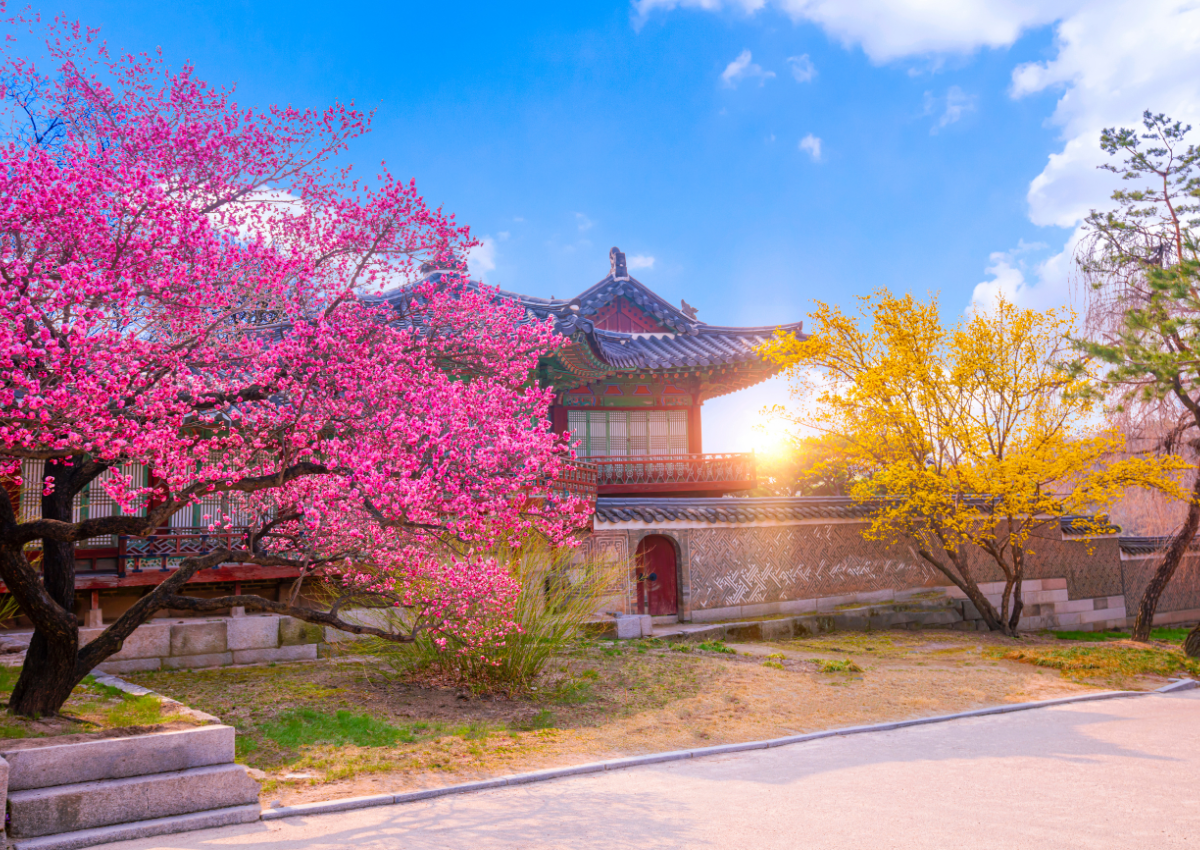 FineGroup - Tour Du Lịch Trung Quốc, Thái Lan | Hơn cả một chuyến đi