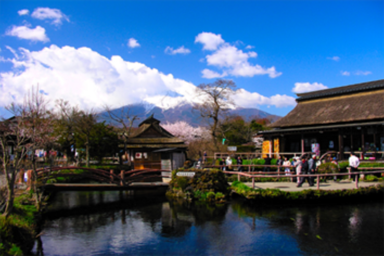 NGÀY 1: TP. HỒ CHÍ MINH – NARITA 	                                              