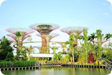 NGÀY 02: GARDEN BY THE BAY – SENTOSA – MALACA 