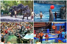 NGÀY 03: PATTAYA – SAFARI WORLD – ICONSIAM – BANGKOK